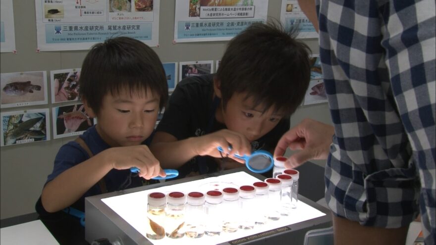 三重県水産研究所の展示