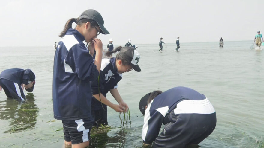 みえの海やに！＃14　～松阪の海の学校～