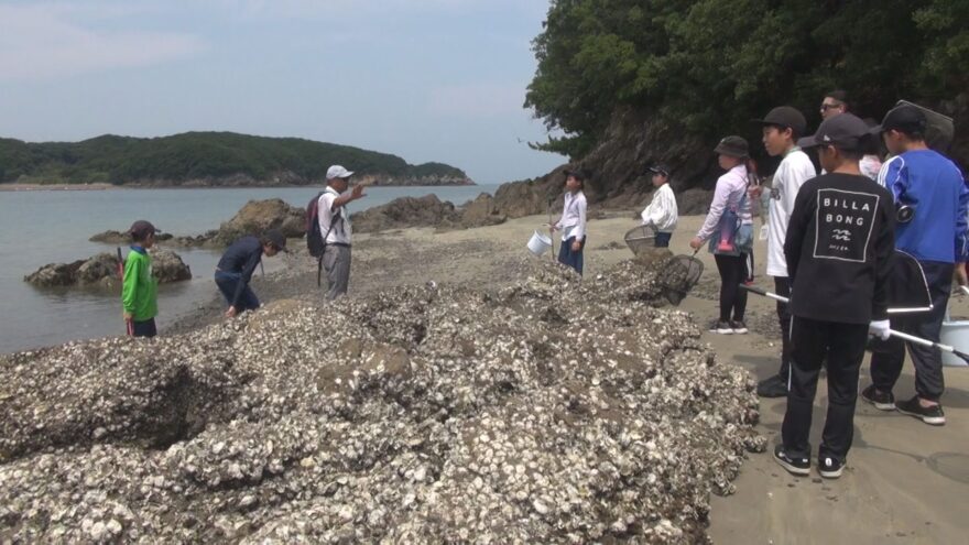 みえの海やに！2024～みえのうみ通信社2日目〜