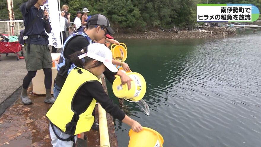 みえの海やに！～子どもたちがヒラメの稚魚を放流～