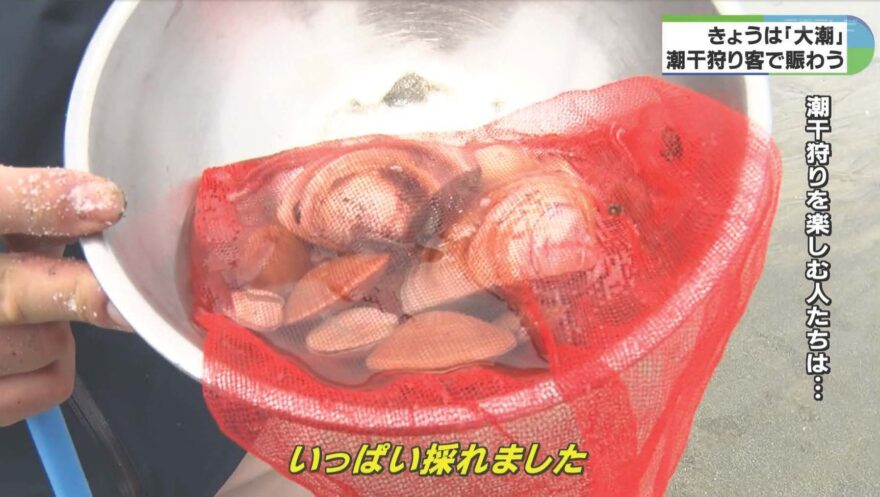 みえの海やに！～津市で潮干狩り賑わう～